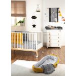 SPR02919-mod-scendibimbo